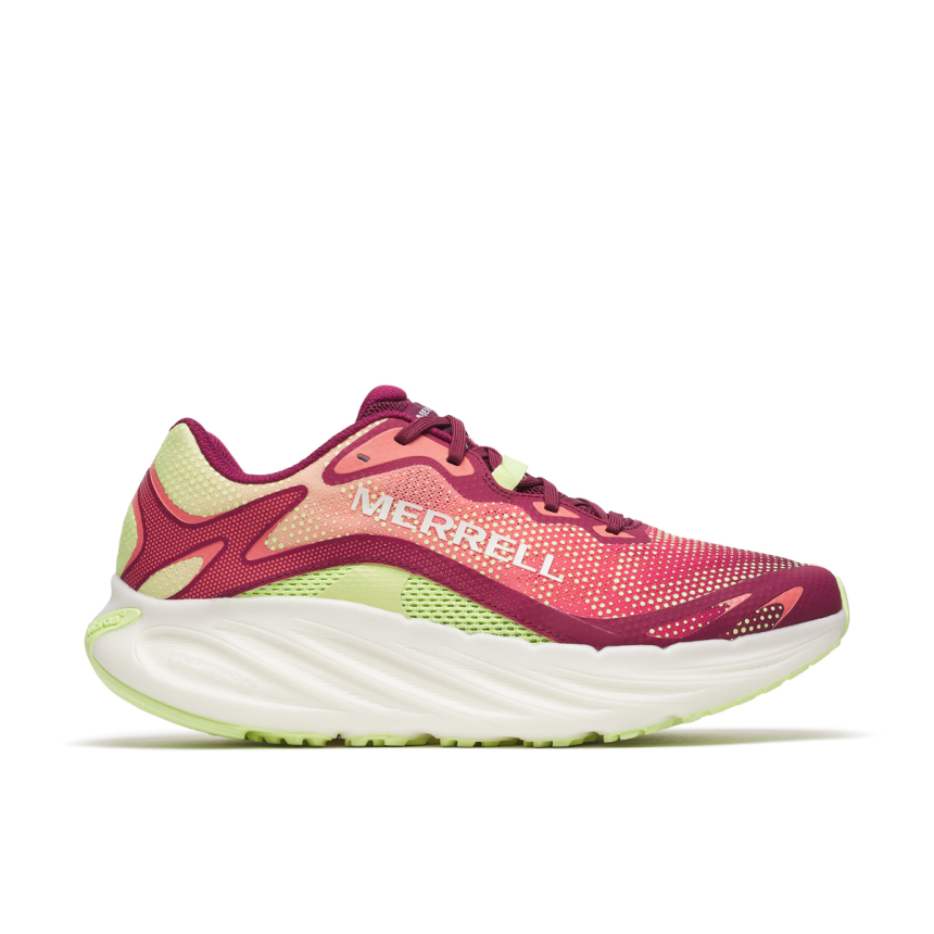 PROMORPH 3D