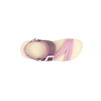 DISTRICT 4 BACKSTRAP