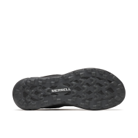 ANTORA 4 WP