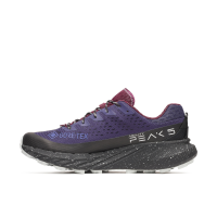 AGILITY PEAK 5 GTX