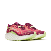 PROMORPH 3D