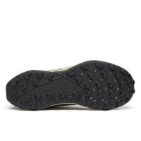 PEREGRINE 15 GTX