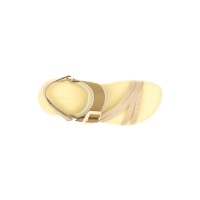 DISTRICT 4 BACKSTRAP